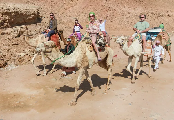 Tourists riding camels — Stock Photo, Image