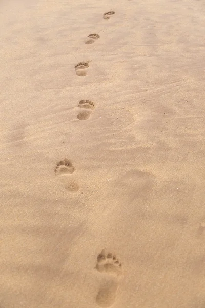 Barefoot prints on sandy beach — Stock Photo, Image