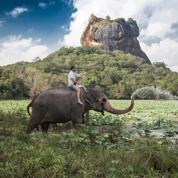 Elephant ride — Stock Photo, Image