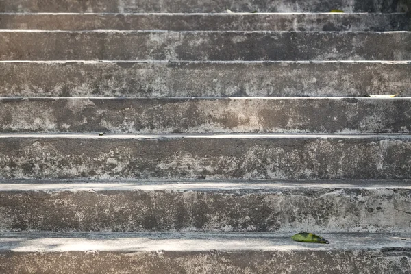 Escadaria de concreto com folha verde — Fotografia de Stock