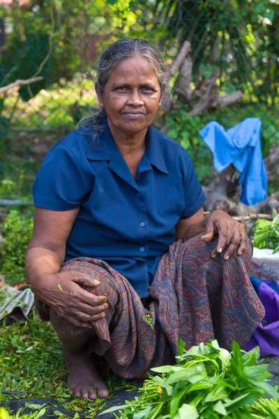 Local street vendor selling herbs — Stock Photo, Image