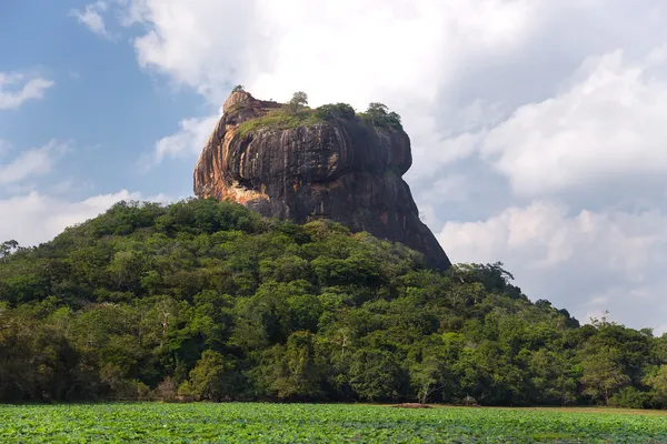 Sigiriya kaya — Stok fotoğraf