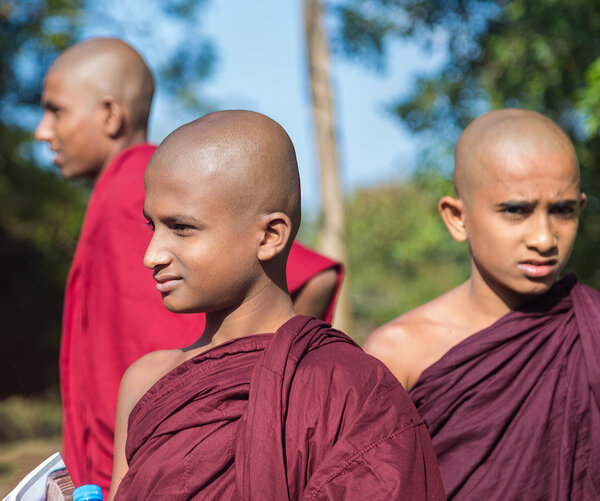 Group of buddhist monks visiting Sigiriya complex