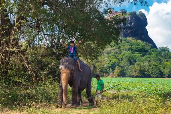 Místní muž na zádech slona — Stock fotografie