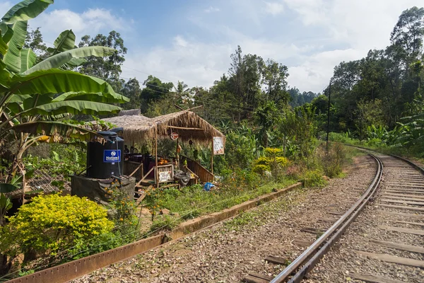 Restaurant uitzicht op de tuin in sri lanka — Stockfoto
