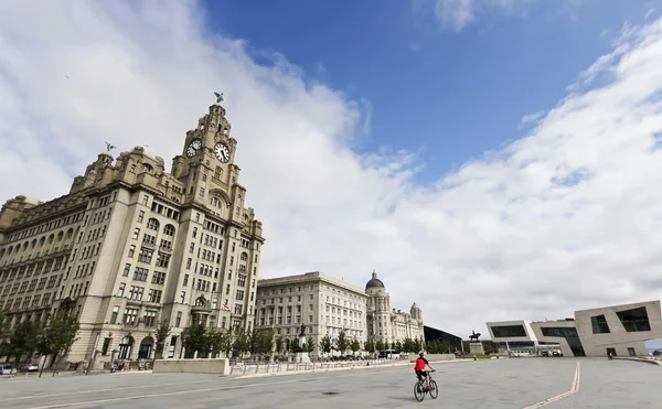 A Cyclist Rides by the Royal Liver Building — Stock Photo, Image