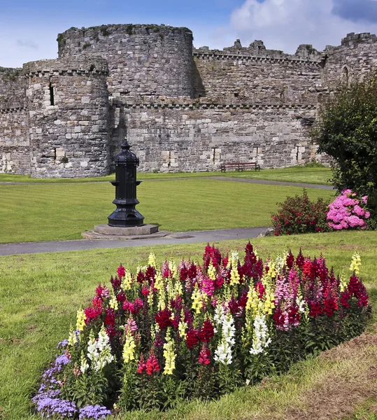 A Flowery Beaumaris Castle on Anglesey, Wales — Stock Photo, Image