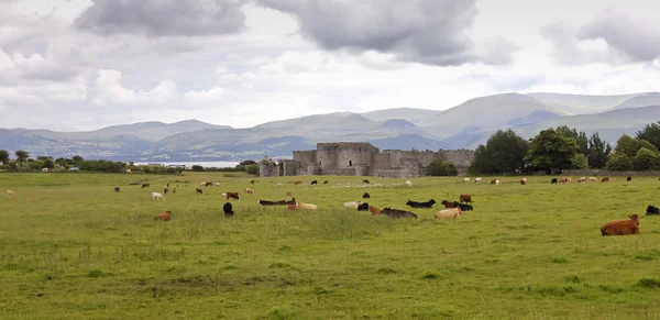 Beaumaris hrad zpět Prohlédni na anglesey, wales — Stock fotografie