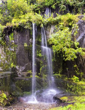 gizli bir şelale orman yeşilliklerle çevrili