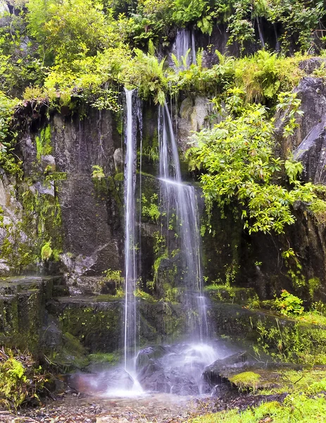 Une cascade cachée entourée de verdure forestière — Photo