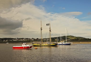 hms turşu conwy Marina çoğaltması