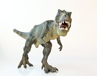 beyaz zemin üzerinde bir tyrannosaurus AVI