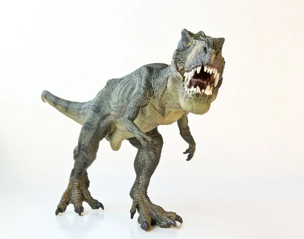 A Tyrannosaurus Hunts on a White Background — Stock Photo, Image