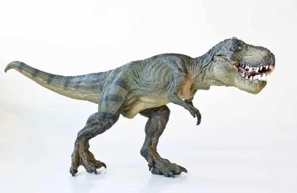 Een tyrannosaurus jaagt op een witte achtergrond — Stockfoto