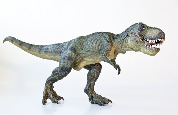 A Tyrannosaurus Hunts on a White Background