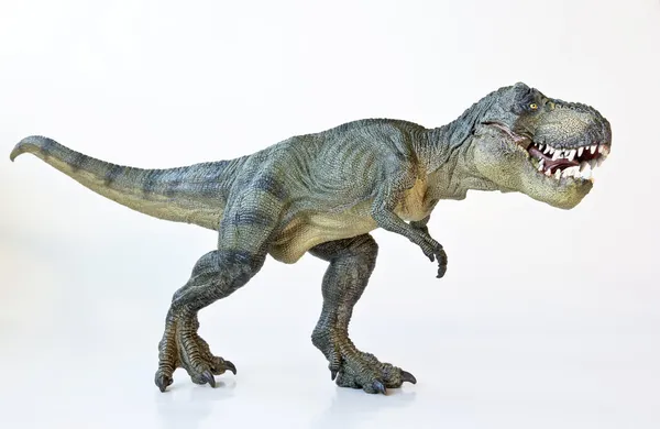 Un tyrannosaure chasse sur fond blanc Images De Stock Libres De Droits