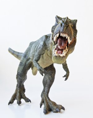 beyaz zemin üzerinde bir tyrannosaurus AVI