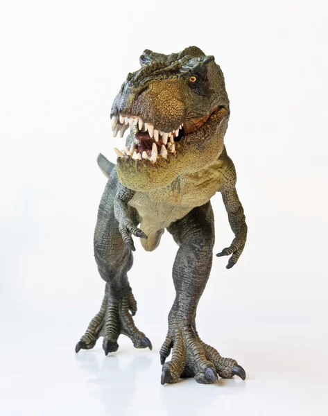 A Tyrannosaurus Hunts on a White Background — Stock Photo, Image