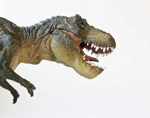 En tyrannosaurus jagar på en vit bakgrund — Stockfoto