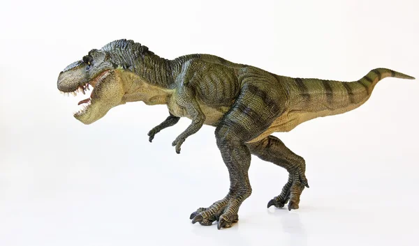 Um tiranossauro caça em um fundo branco — Fotografia de Stock