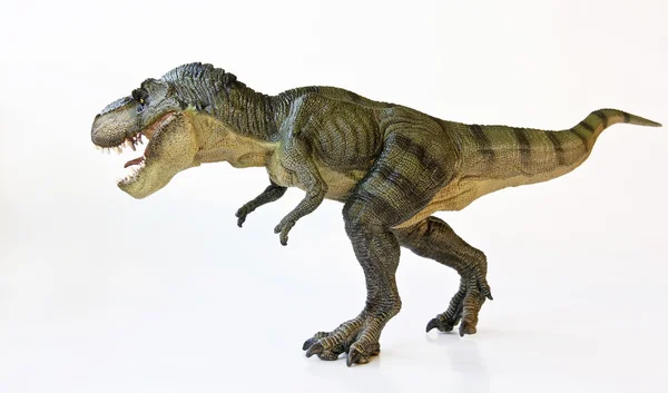 Een tyrannosaurus jaagt op een witte achtergrond — Stockfoto