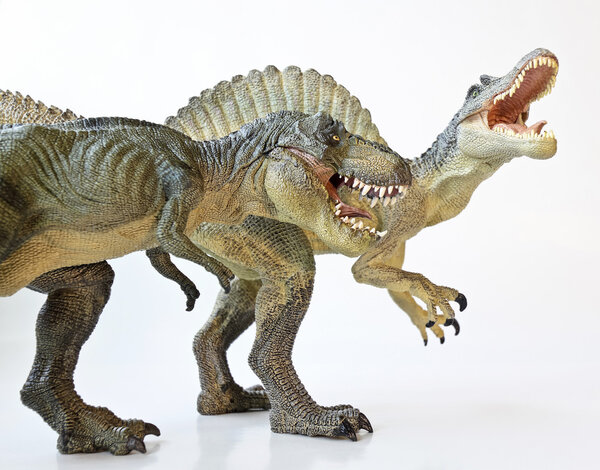 A Spinosaurus Faces Off with A Tyrannosaurus Rex