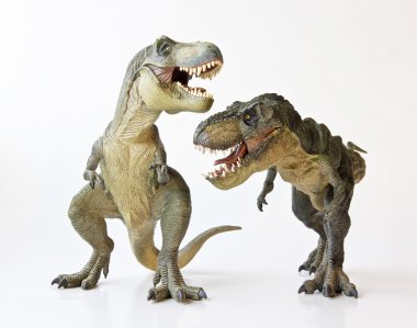 beyaz zemin üzerinde bir tyrannosaurus Çift