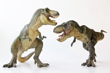 beyaz zemin üzerinde bir tyrannosaurus Çift