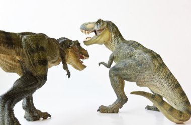 beyaz zemin üzerinde bir tyrannosaurus Çift