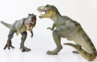 beyaz zemin üzerinde bir tyrannosaurus Çift
