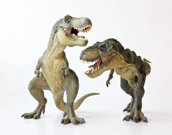 Beyaz zemin üzerinde bir tyrannosaurus Çift — Stok fotoğraf