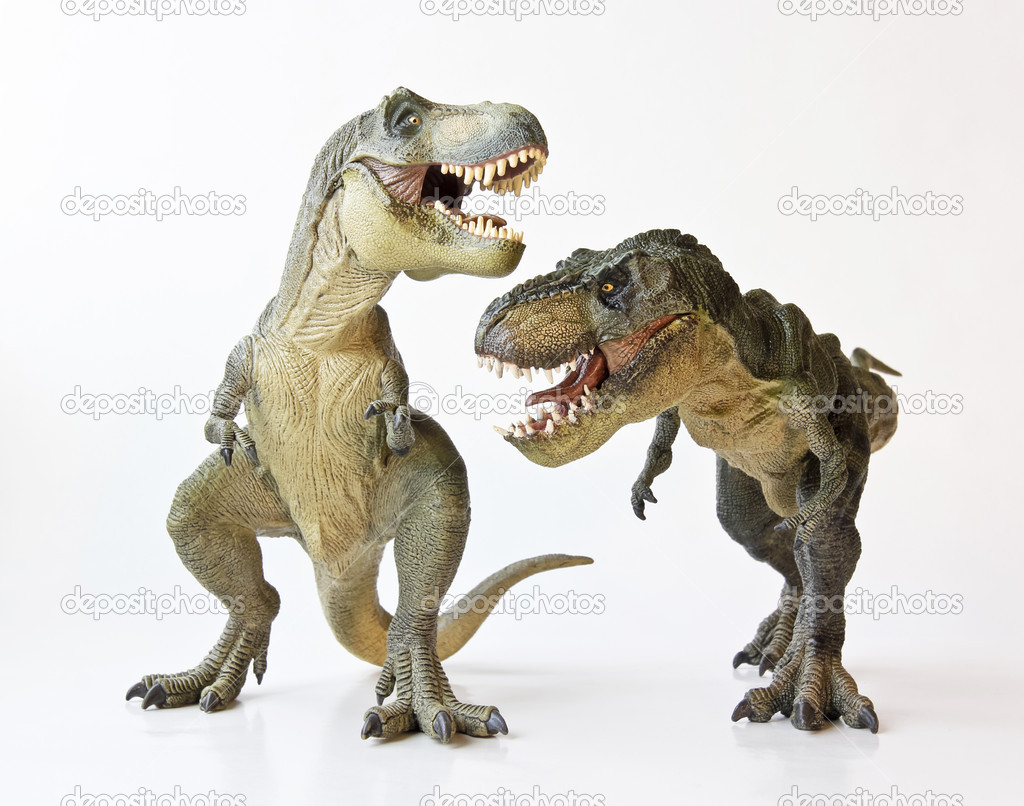A Tyrannosaurus Pair on a White Background