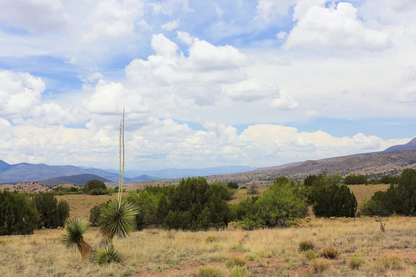 Una vista panorámica desde Aldo Leopold Vista — Foto de Stock