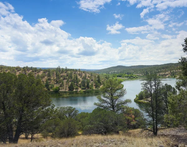 A Lake Roberts View, Национальный лес Гилы — стоковое фото