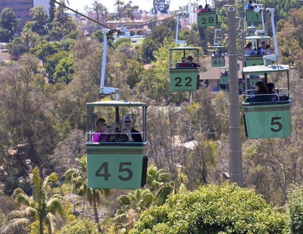 Ein arbeitsreicher tag im zoo san diego — Stockfoto