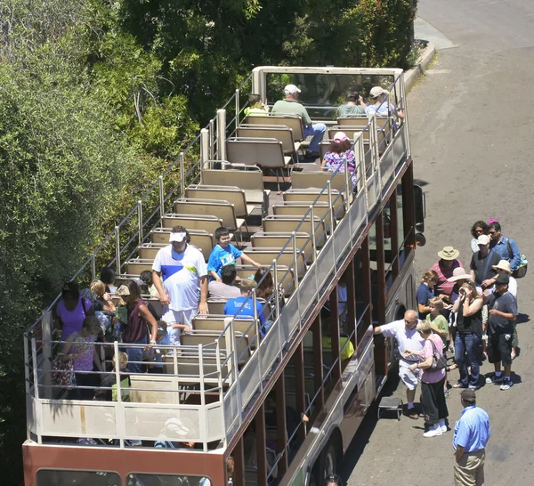 A Busy Day at the San Diego Zoo — Stock Photo, Image