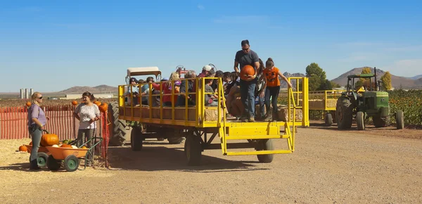 Un paseo en heno regresa de un parche de calabaza —  Fotos de Stock