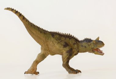 eti yeme carnotaurus dinozor, boğa yeme et