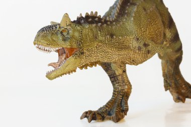 eti yeme carnotaurus dinozor, boğa yeme et