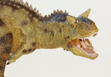 eti yeme carnotaurus dinozor, boğa yeme et