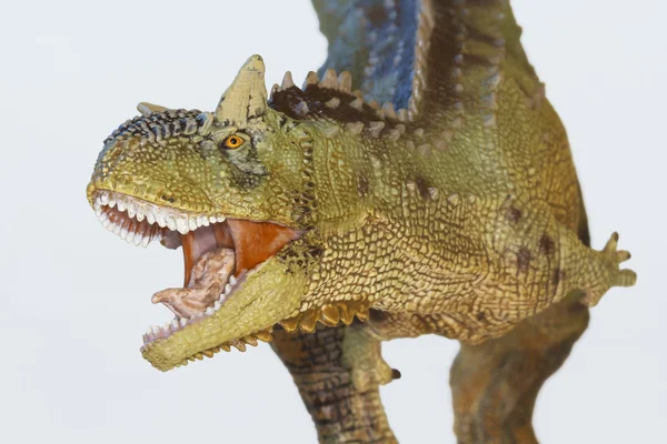 Un dinosaurio Carnotaurus que come carne, toro que come carne —  Fotos de Stock