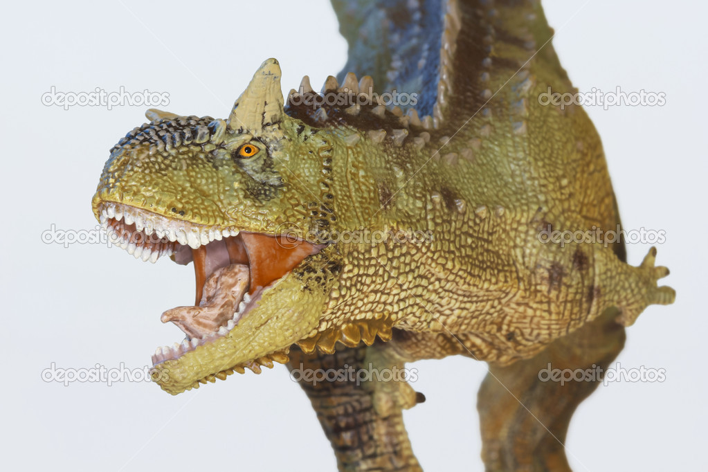 A Flesh Eating Carnotaurus Dinosaur, Meat Eating Bull