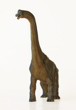 uzun boylu brachiosaurus dinozor veya kol kertenkele