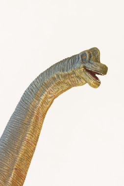 uzun boylu brachiosaurus dinozor veya kol kertenkele