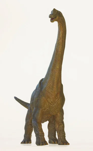 Um dinossauro alto do braquiossauro, ou um lagarto do braço — Fotografia de Stock