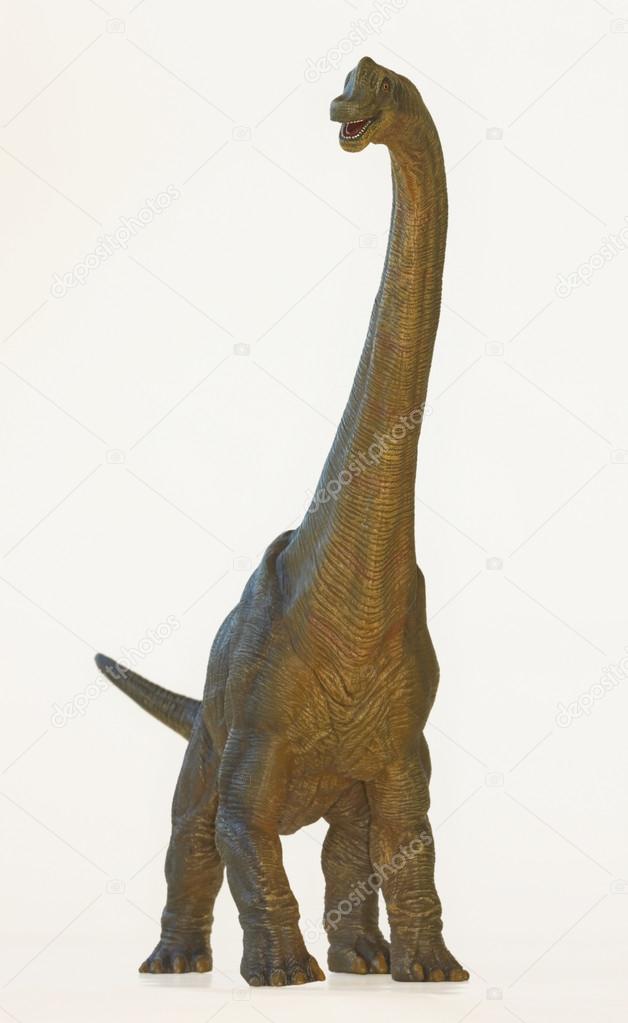 Dinosaurio cuello largo fotos de stock, imágenes de Dinosaurio cuello largo  sin royalties | Depositphotos