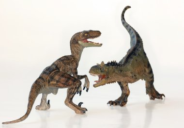 bir carnotaurus ve bir velociraptor arasında bir savaş