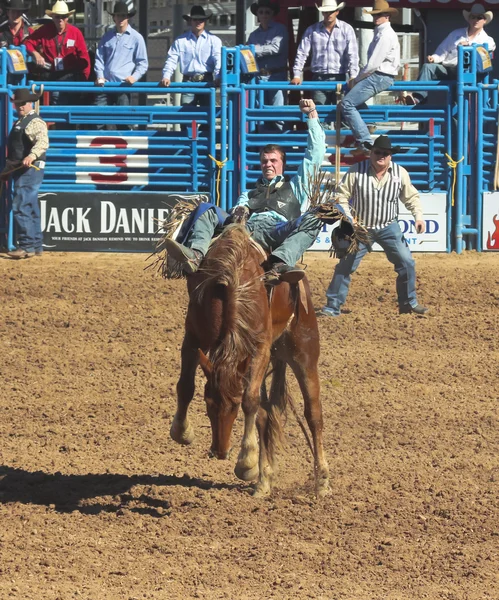 Um La Fiesta De Los Vaqueros, Tucson, Arizona — Fotografia de Stock