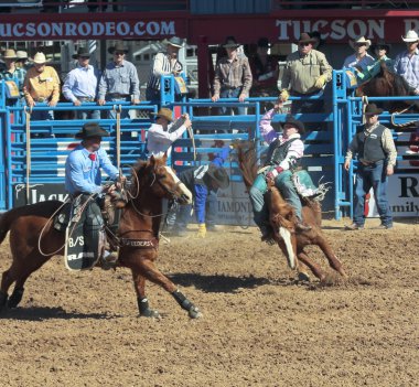Fiesta de los vaqueros, tucson, arizona a la