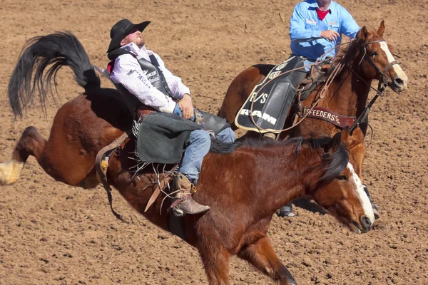 La fiesta de los vaqueros, tucson, arizona — Stock fotografie